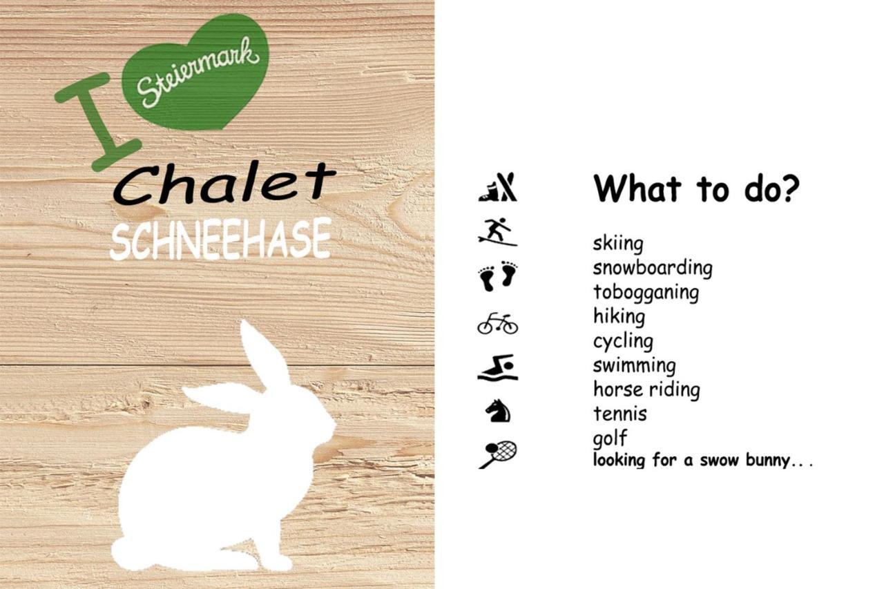 Chalet ?Snow Bunny? Stadl an der Mur ภายนอก รูปภาพ