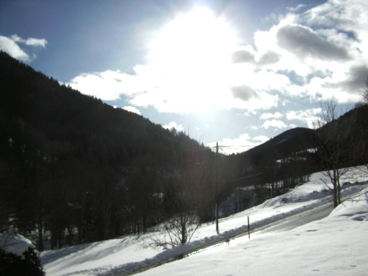 Chalet ?Snow Bunny? Stadl an der Mur ภายนอก รูปภาพ